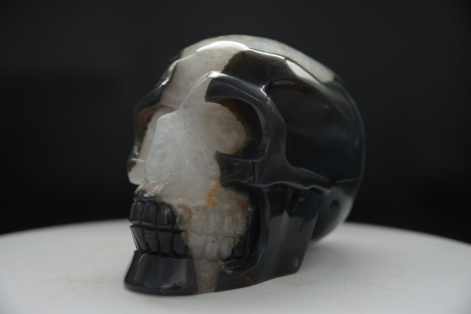 Skull